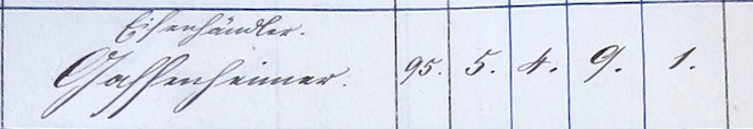 Sc1875-Census-Entry-Samuel-G.