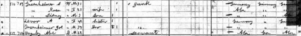 1880 Census-Gassenheimer
